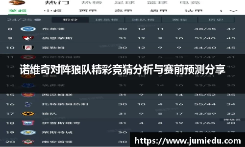 熊猫体育网站